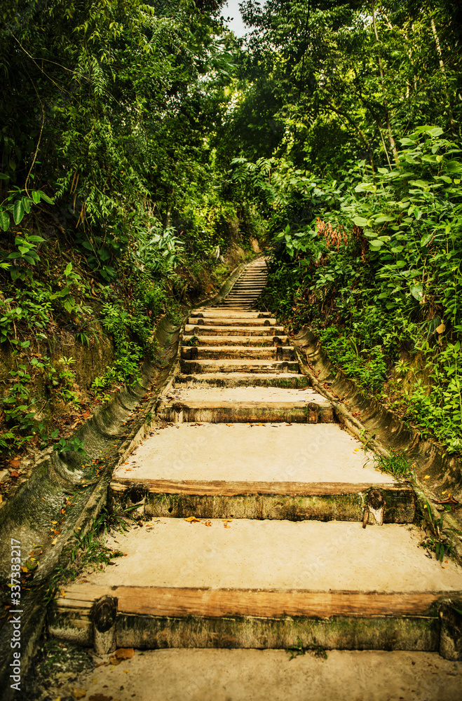 stairway in the forest of Morro de sao paulo, Brazil, South America stairway in the forest of Morro de sao paulo, Brazil, South America