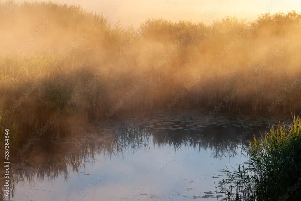Fototapeta Poranne mgły nad Narwią. Dolina Górnej Narwi, Podlasie, Polska