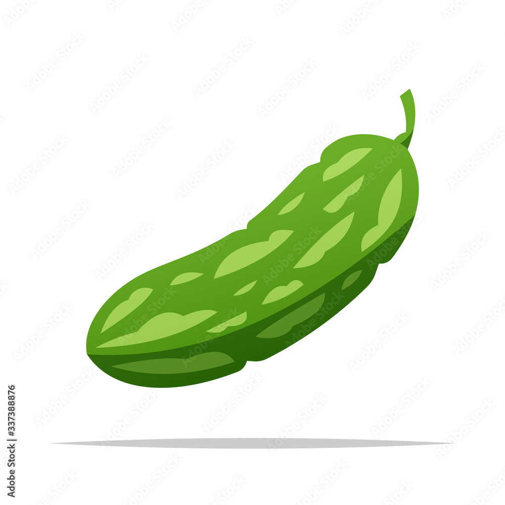 Bitter gourd vector isolated illustration Stock Vector Adobe Stock
