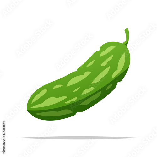 Bitter gourd vector isolated illustration