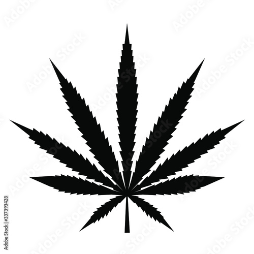 cannabis leaf vector illustration