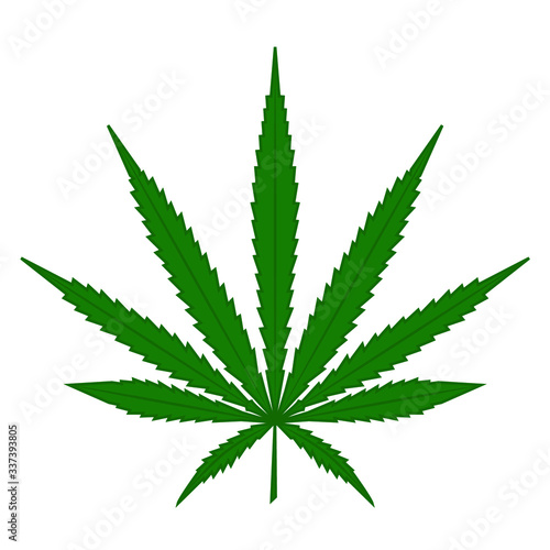cannabis leaf on white background