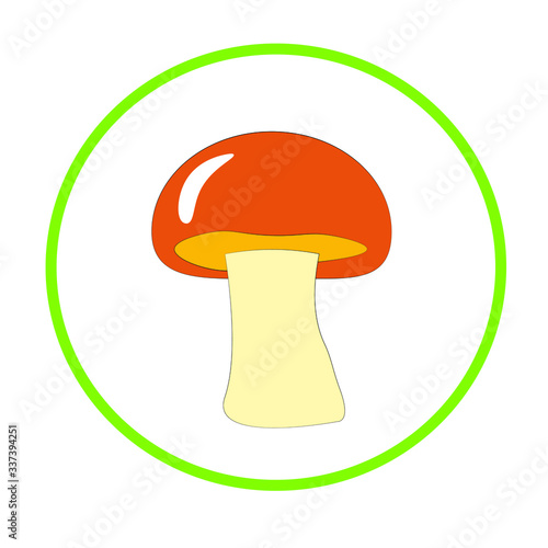 mushroom illustration. healthy and organic vegetable