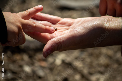 Mother and child hands give each other something