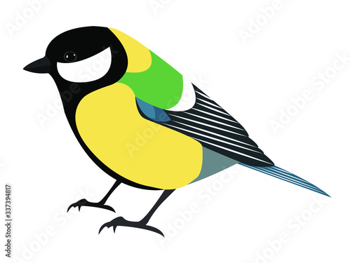 great  tit bird, vector b isolated on white background
