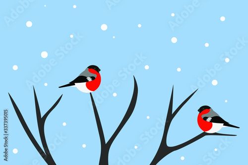 birds on a branch, bullfinch vector in winter tree © Kseniia