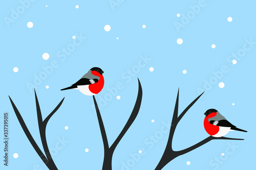 birds on a branch, bullfinch vector in winter tree