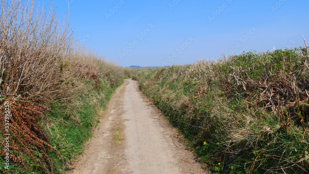 Small country roads, tracks in South East Cornwall, UK in springtime sunshine.