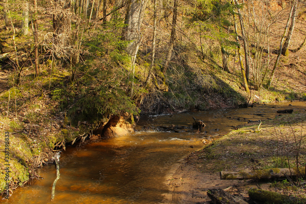 A turn that make a wild water stream in the national park of Gauja, Latvia. Red sand at the bottom of forest spring. A turn that make a wild water stream in the national park of Gauja, Latvia. Red sand at the bottom of forest spring.