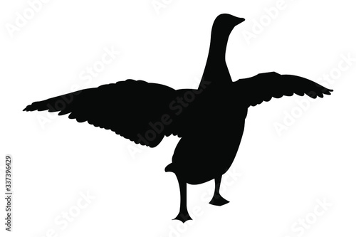silhouette of a goose