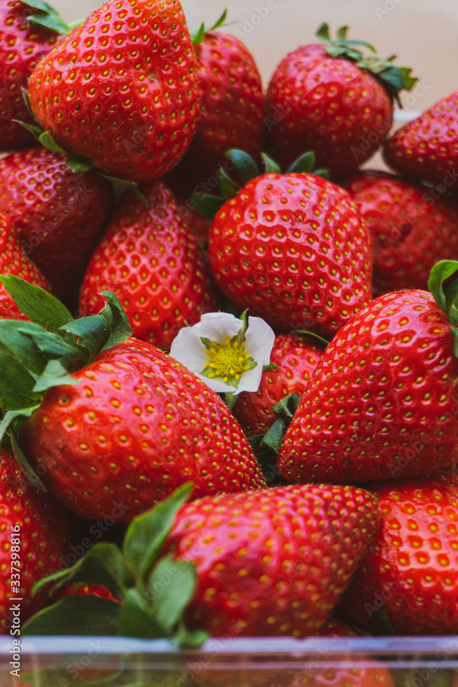 Strawberries Flower in the middle of sweet and passion red Strawberries Strawberries Flower in the middle of sweet and passion red Strawberries