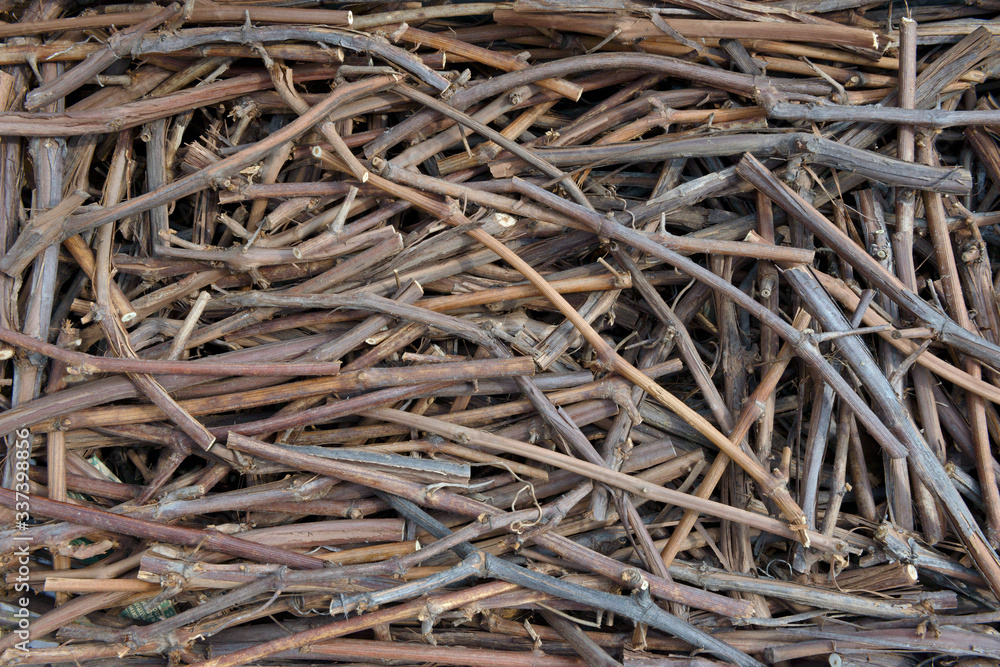 Pile of many cut grapevine twigs as natural background. Pile of many cut grapevine twigs as natural background.