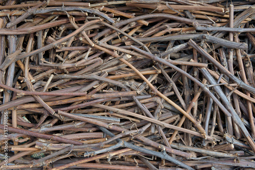Pile of many cut grapevine twigs as natural background.