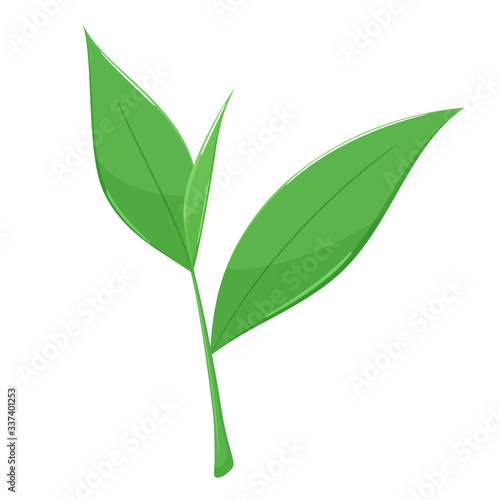 お茶の茶葉のイラスト 紅茶 緑茶 Stock ベクター Adobe Stock お茶の茶葉のイラスト 紅茶 緑茶 Stock ベクター Adobe Stock