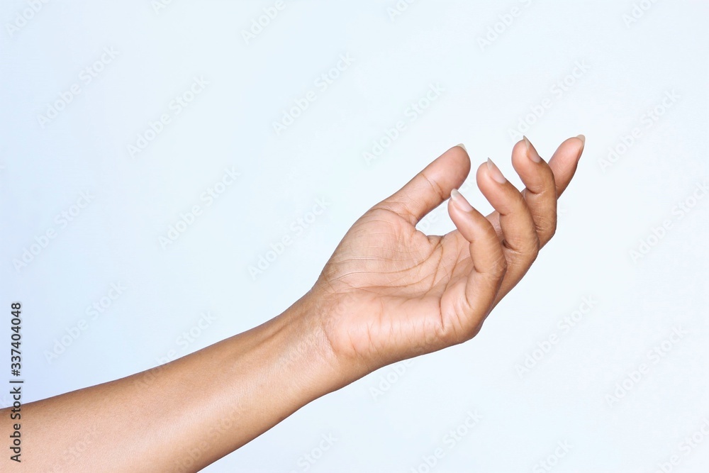 Woman hand gesture asking or showing. photo isolate on white front view copy space Woman hand gesture asking or showing. photo isolate on white front view copy space