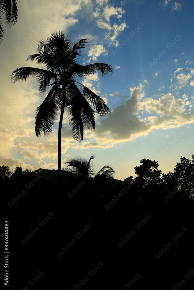 Obraz premium Colorful Landscape on evening