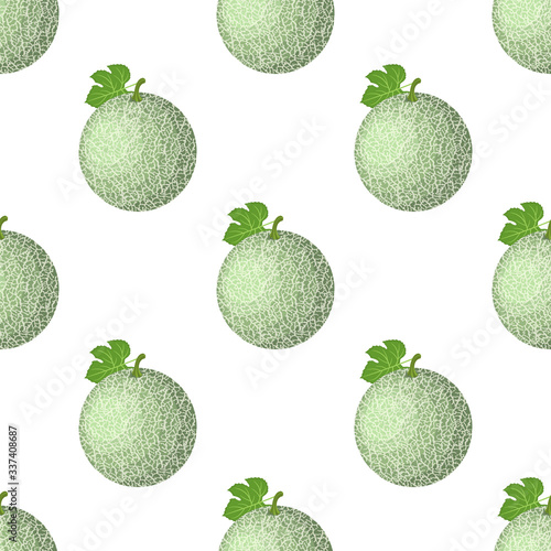 Seamless pattern with fresh whole melon fruit isolated on white background. Cantaloupe melon. Summer fruits for healthy lifestyle. Organic fruit. Cartoon style. Vector illustration for any design.