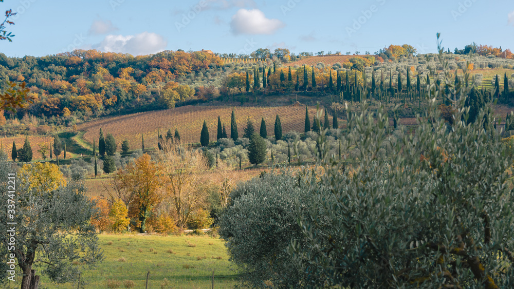 Panorama sulla Val d'Orcia in autunno