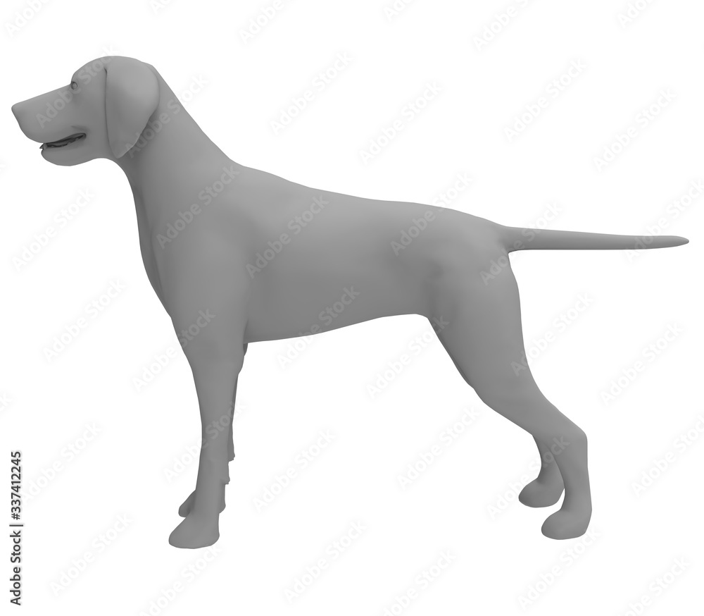 3d illustration of the dog