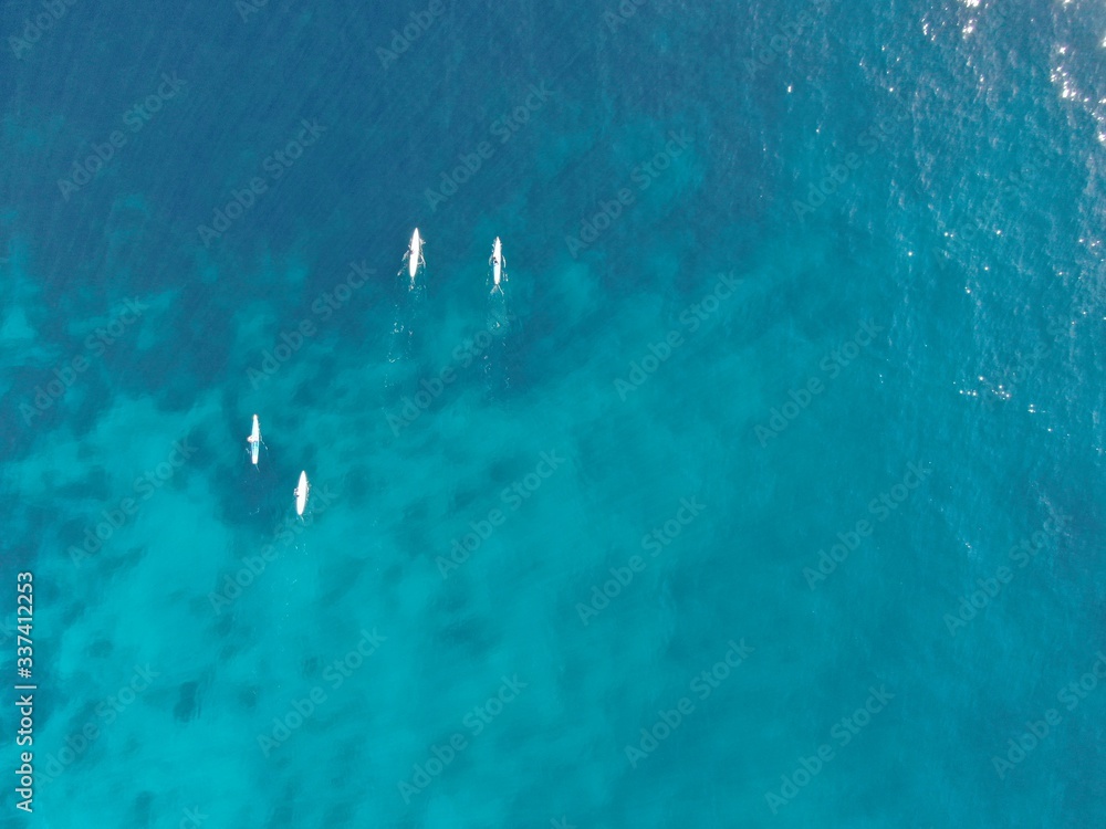 vista aérea de tablas de paddle surf sobre las aguas de color azul turquesa sobre el mar de un playa de Mallorca. Concepto de vacaciones playa veranos y diversion vista aérea de tablas de paddle surf sobre las aguas de color azul turquesa sobre el mar de un playa de Mallorca. Concepto de vacaciones playa veranos y diversion