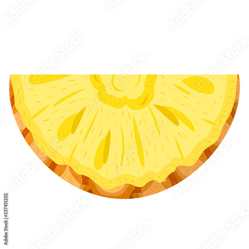 Fresh cut slice pineapple fruit isolated on white background. Summer fruits for healthy lifestyle. Organic fruit. Cartoon style. Vector illustration for any design.