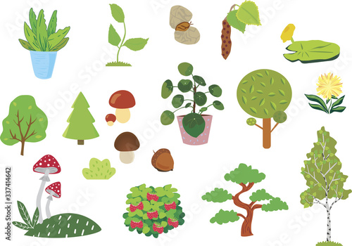 Plants and Mushrooms and Trees Растения деревья