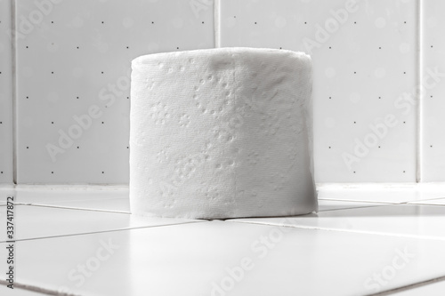 Roll of white toilet paper photo