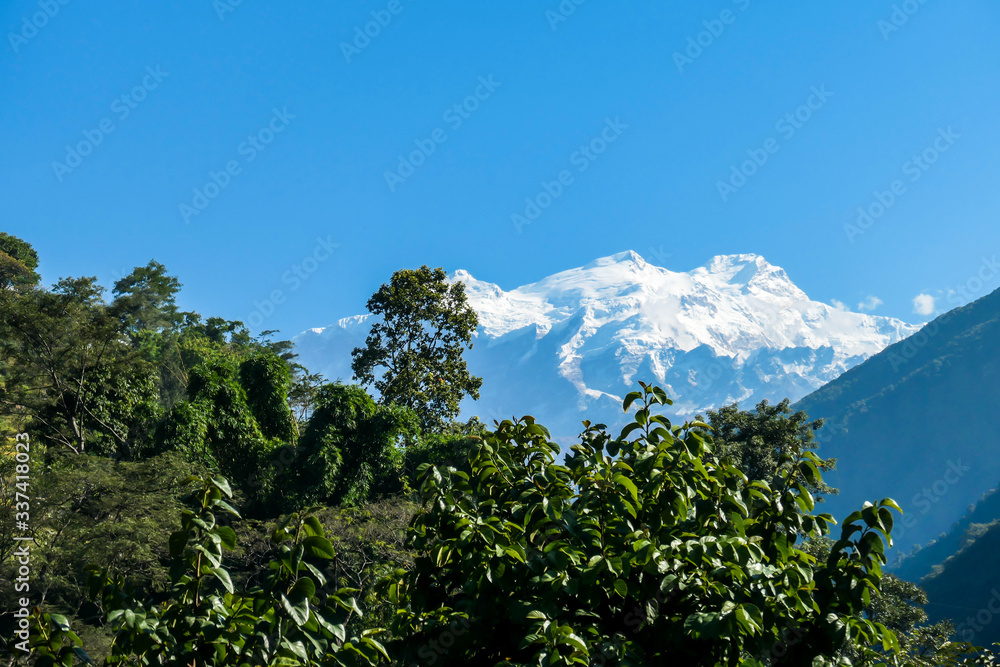 Fototapeta premium View on Himalayas along Annapurna Circuit Trek, Nepal. There is a dense forest in front. High, snow caped mountains' peaks catching the sunbeams. Serenity and calmness. Barren slopes