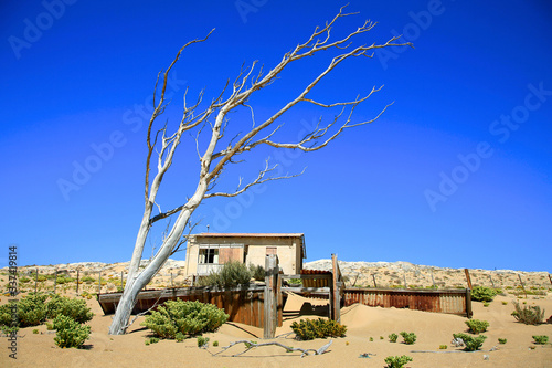 Abandoned house and dead tree in Kolmanskop ghost town in Namibia with a clear blue sky and the desert of sand all around. photo