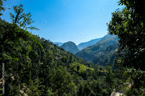 View on Himalayas along Annapurna Circuit Trek, Nepal. There is a dense forest in front. High, snow caped mountains' peaks catching the sunbeams. Serenity and calmness. Barren slopes