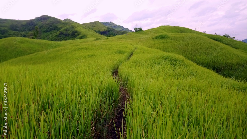 Trekking along the vast grassland towards the peak of Mt. Megatong in Santo Tomas, Davao del Norte, Philippines.
