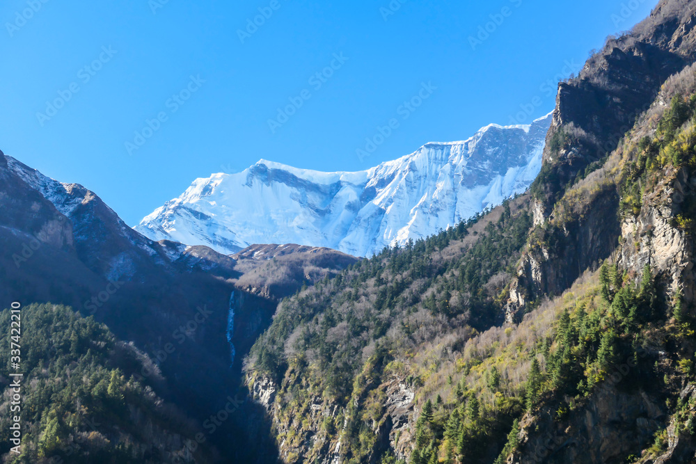 View on Himalayas along Annapurna Circuit Trek, Nepal. There is a dense forest in front. High, snow caped mountains' peaks catching the sunbeams. Serenity and calmness. Barren slopes