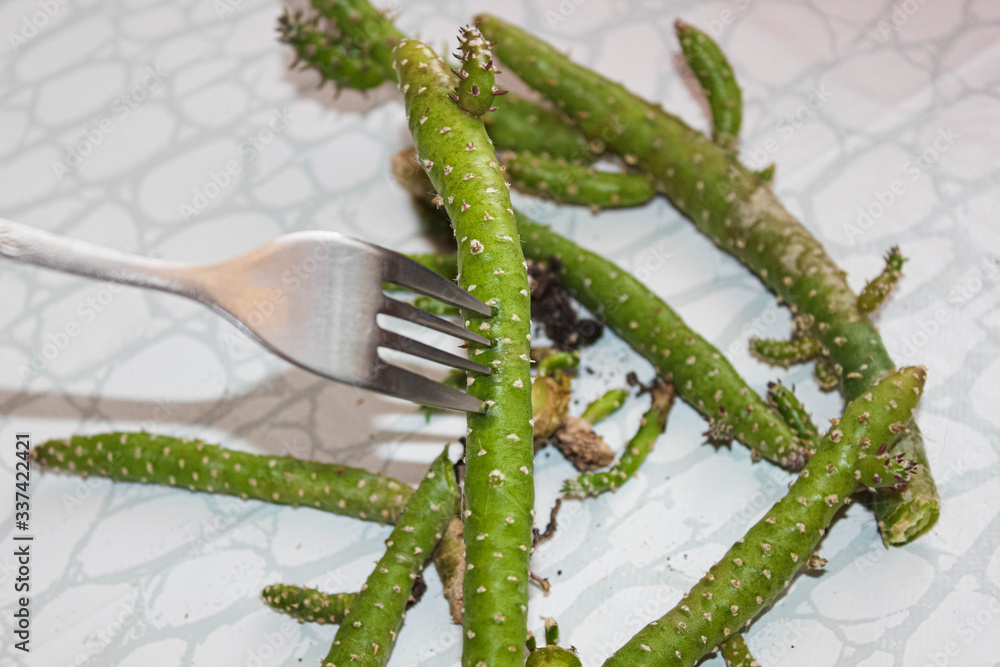 Naklejka premium Cut cactus sprouts are hooked with a food fork.