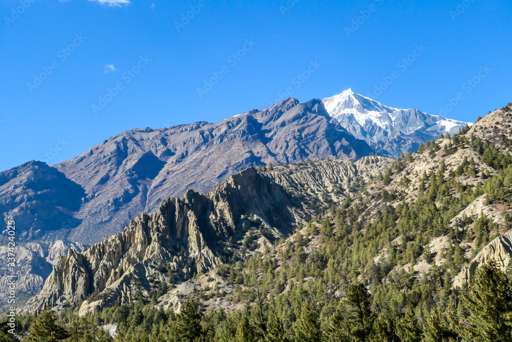 A view on Himalayan valley along Annapurna Circuit Trek, Nepal. There is a dense forest in front. High, snow caped mountains' peaks catching the sunbeams. Serenity and calmness. Barren slopes