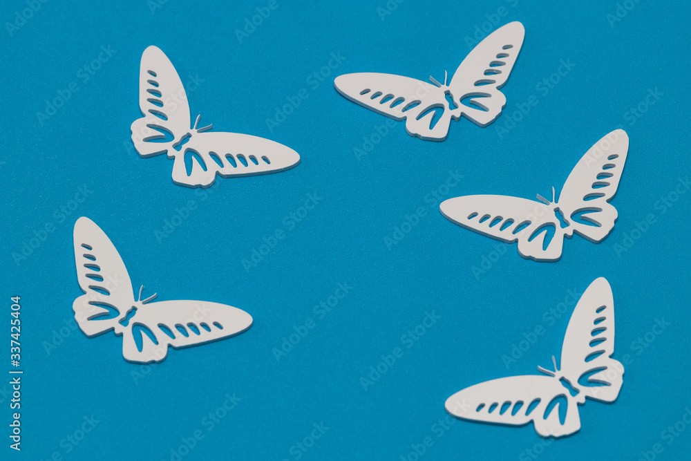 White butterflies on a blue background, a creative minimal concept, copy space. White butterflies on a blue background, a creative minimal concept, copy space.
