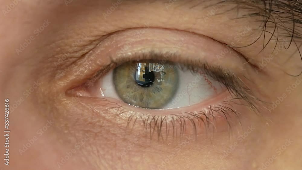 Big brother is watching with big eyes. Super macro, very close up. Big brother is watching with big eyes. Super macro, very close up.