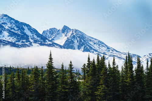 Canvastavla Exploring Alaska Summer of 2019