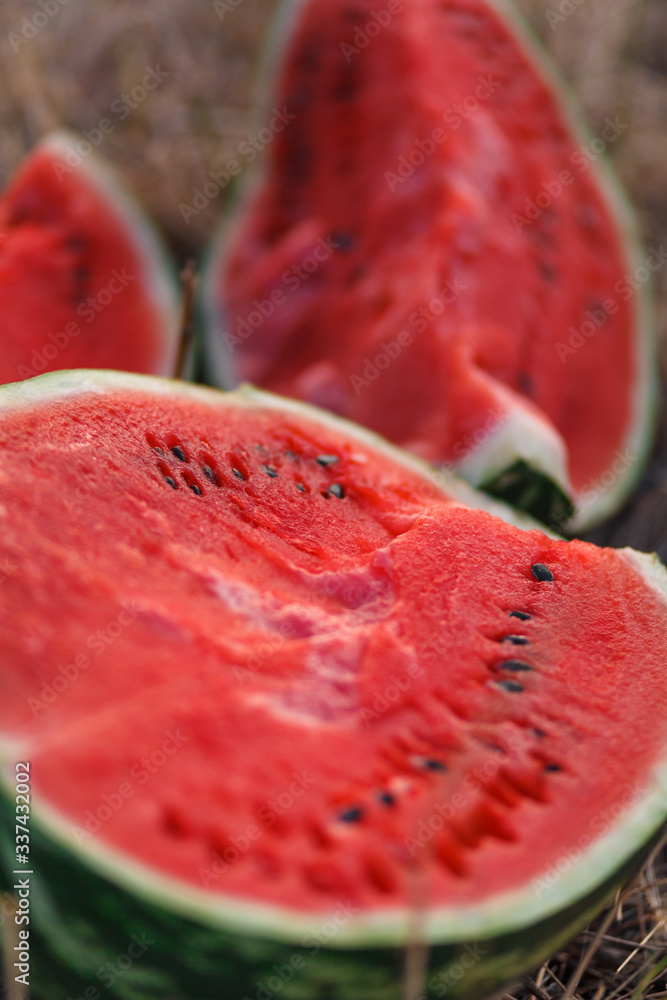 Watermelon on the natural background Watermelon on the natural background