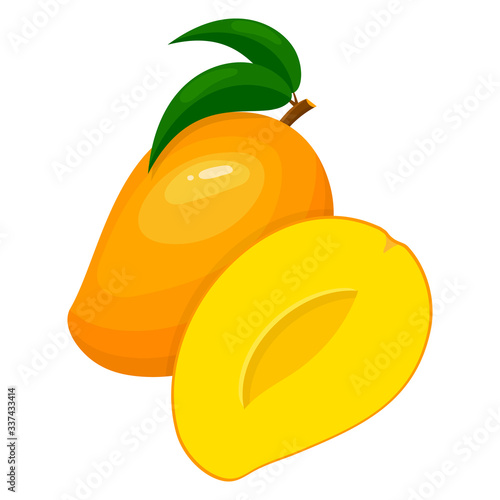 Fresh bright exotic whole and half mango isolated on white background. Summer fruits for healthy lifestyle. Organic fruit. Cartoon style. Vector illustration for any design.