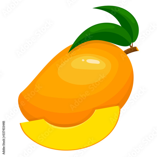 Fresh bright exotic whole and sliced mango isolated on white background. Summer fruits for healthy lifestyle. Organic fruit. Cartoon style. Vector illustration for any design.