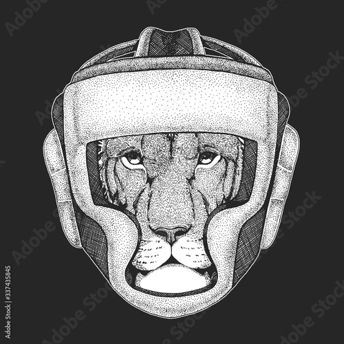 Lion head. Wild animal portrait. Boxing helmet. Boxer. Face of african cat.