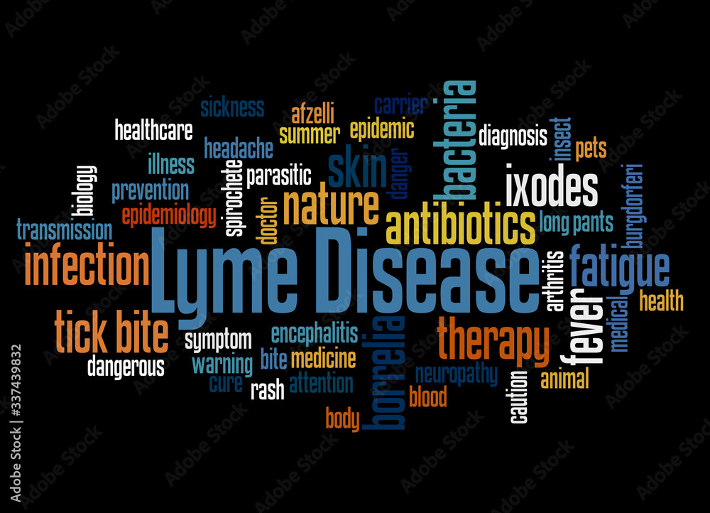 Lyme disease word cloud concept 3