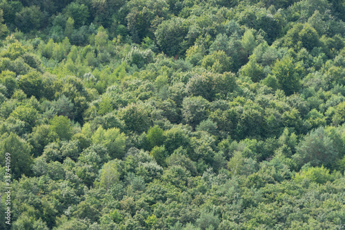 Wald-Landschaft - Luftbild