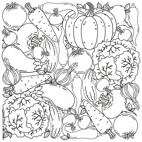 Vector black and white coloring book for adults. Harvest vegetables for Thanksgiving. Ripe beets, carrots, eggplants, tomatoes, cabbage, pumpkin