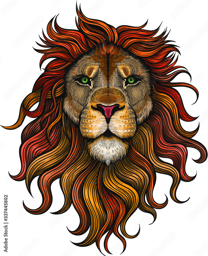 Vector Color Lion Head Illustration Stock Vector | Adobe Stock