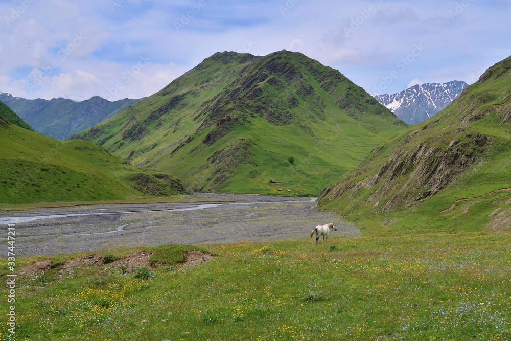 Fototapeta premium Hiking through Tusheti in Georgia
