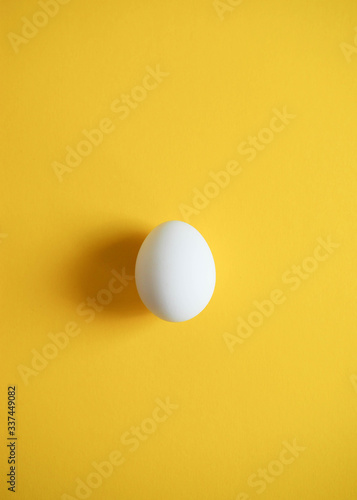 one egg on a simple colored background