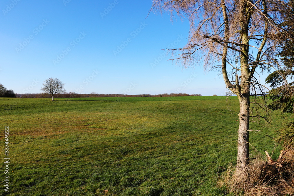 Frühling / Idylle / idyllische, weite Landschaft mit strahlendem Sonnenschein - freie Pläne Frühling / Idylle / idyllische, weite Landschaft mit strahlendem Sonnenschein - freie Pläne