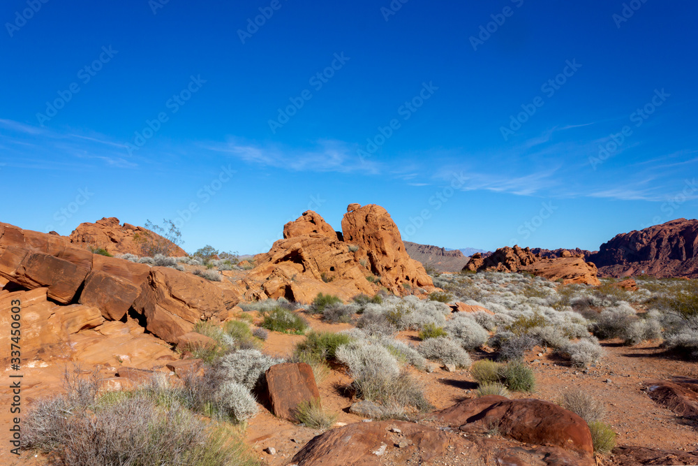 Fototapeta premium las Vegas, Arizona,USA - 2020/01/04 - winter trip to Valley of Fire National Park