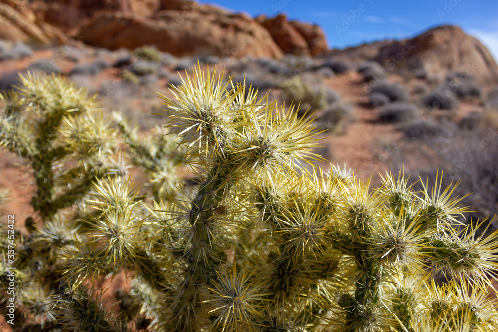 las Vegas, Arizona,USA - 2020/01/04 - winter trip to Valley of Fire National Park las Vegas, Arizona,USA - 2020/01/04 - winter trip to Valley of Fire National Park